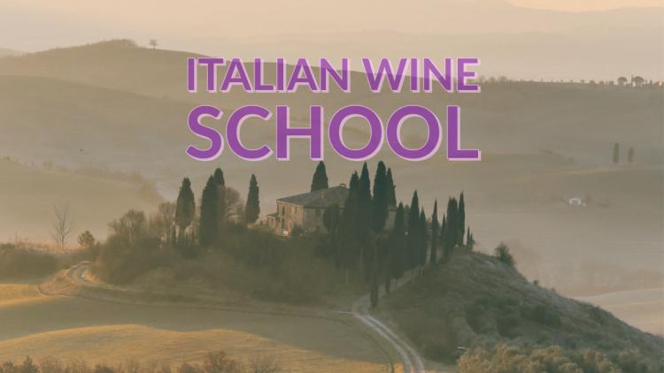 Tenuta Torciano Winery: Italian Wine School